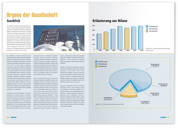 Geschäftsbericht HVV Innenseiten